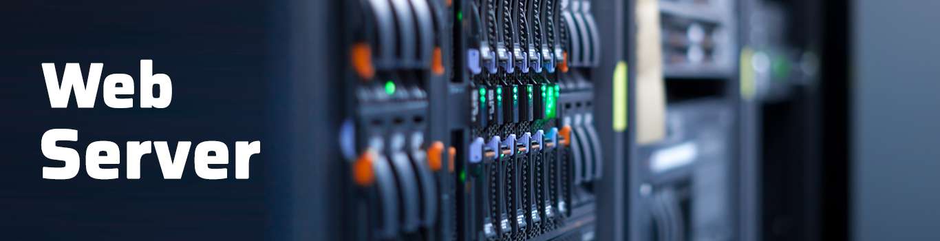 web servers and web hosting
